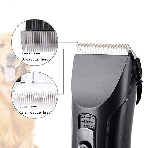 NFLOBD Fader eléctrico para Perros Fader Faver Clipper Trimmer de Aseo para Perros Trimmer para Mascotas Animal Hair Professional Shaver Kit de bajo Ruido Clipper para Mascotas