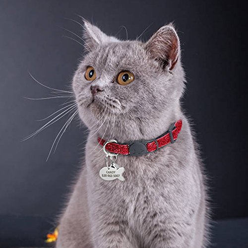 NONE Sin Marca Collar de Etiqueta de liberación rápida Cat Puppy Set Collar de Gatito de Nylon Personalizado magnífico con pequeña Mascota grabada en él 18 a 27 cm Rojo