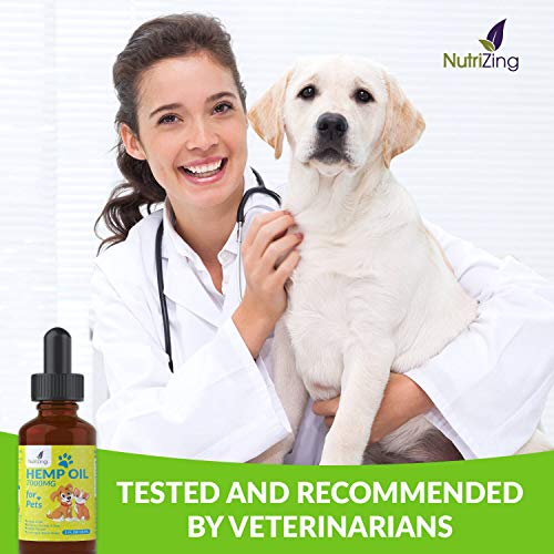 NutriZing 7000 mg gotas de aceite de cáñamo para perros y gatos – Contiene aceite de salmón – Omega 3 6 9 – Certificado europeo cáñamo grande botella de 30 ml