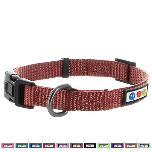 Pawtitas Collar para Perros Ideal para el adiestramiento de tu Mascota, Collar de Perro cómodo y Duradero con Anillo de Metal para Etiqueta de Nombre - Collar Color Marron M