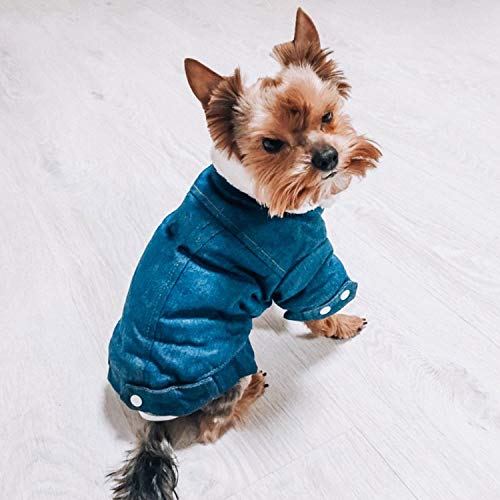 PearlMilkTea001 - Ropa de Invierno para Perro, Abrigo, Vaquero, Ropa para Cachorro, Ropa de Mascota, Disfraz de Chihuahua caniche bichón