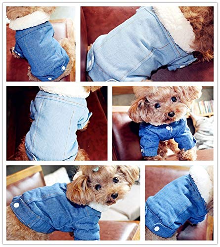 PearlMilkTea001 - Ropa de Invierno para Perro, Abrigo, Vaquero, Ropa para Cachorro, Ropa de Mascota, Disfraz de Chihuahua caniche bichón