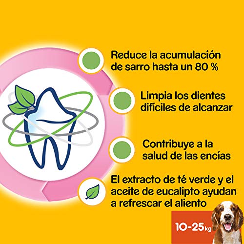 Pedigree Pack de 7 Dentastix Fresh de uso diario para la limpieza dental de los perros y contra mal aliento, para perros medianos (Pack de 10)