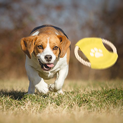 PEDY Juguetes de Cuerda para Perros Durables Masticables 10 Piezas, Grupo de Juguetes para Mantener a Su Perro Sano y Dientes Cuidado, para Perros Pequeños y Medianos