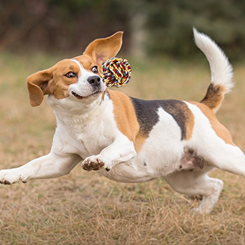 PEDY Juguetes de Cuerda para Perros Durables Masticables 10 Piezas, Grupo de Juguetes para Mantener a Su Perro Sano y Dientes Cuidado, para Perros Pequeños y Medianos