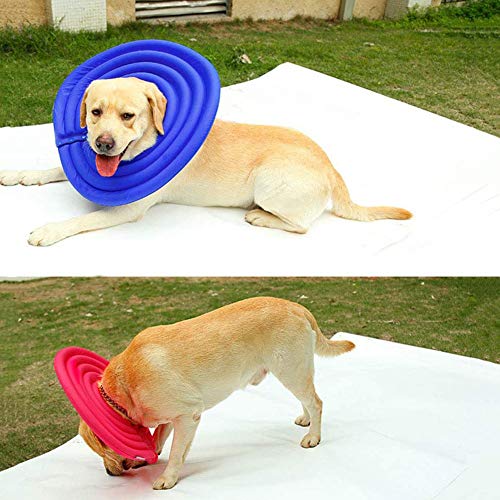 Perro Plegable Piscina, Playa Inflable Perro De Juguete para Mascotas Piscina Flotante De Agua De Juguete Bola De Piscina del Flotador para Los Animales Domésticos,XL