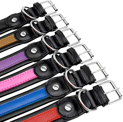 PET ARTIST Collar para Perro con Nombre de Perro Grabado Personalizado de Piel Acolchada para Mascotas, Etiquetas de identificación para Mascotas