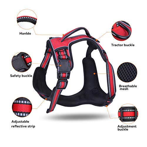 PETGDS Arnés del Perro Antitirones Básicos Adjustable de Nylon, 3M Reflectante para Las Actividades al Aire Libre, Perros Coche Adiesreamiento Bicicleda Correr Chaleco Acolchado Ajustable - Rojo(S)