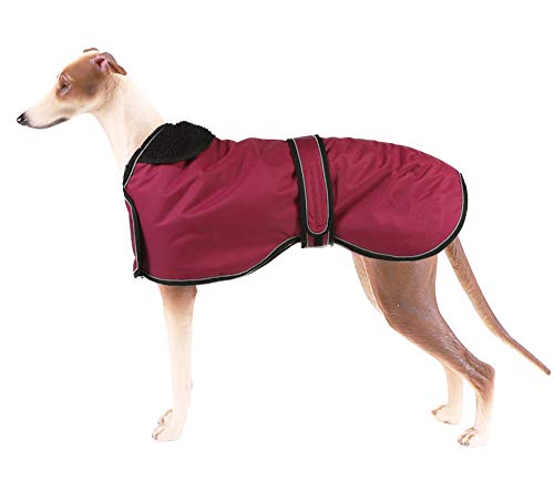 Pethiy Chaqueta Impermeable para Perros, Abrigo de Invierno para Perros con Forro de vellón cálido, Ropa para Perros al Aire Libre XXL (Back Length 71CM / 28in) Rojo