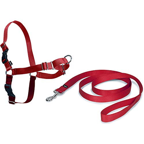 PetSafe Correa Easy Walk