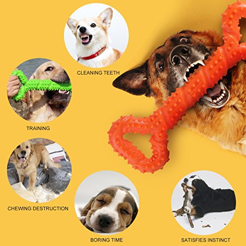 Petyoung Juguetes para Masticar de Perro 33 cm con Forma de Hueso para masticadores agresivos, Juguete Interactivo para Perros pequeños, medianos y Grandes, con diseño Convexo y Fuerte