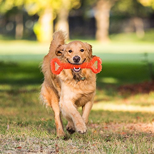 Petyoung Juguetes para Masticar de Perro 33 cm con Forma de Hueso para masticadores agresivos, Juguete Interactivo para Perros pequeños, medianos y Grandes, con diseño Convexo y Fuerte