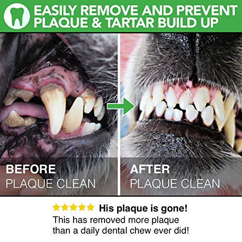 Polvo Para Eliminación de Sarro y Placa Para Perros, Cachorros y Gatos | 100% Natural para Animales | Plaque Clean | 100g | Limpia y Cuida Dientes Blancos y Encías | Ayuda Contra el Mal Aliento