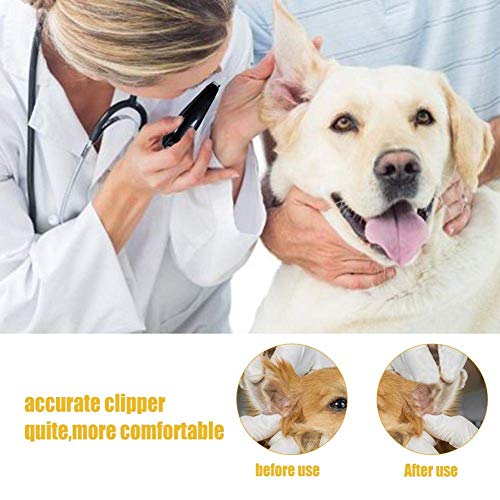 Preparación del perro de las podadoras, el gato del perro de las podadoras del condensador de ajuste del pelo del animal doméstico, USB inalámbrico recargable Diseño de bajo ruido eléctrico pelo for a