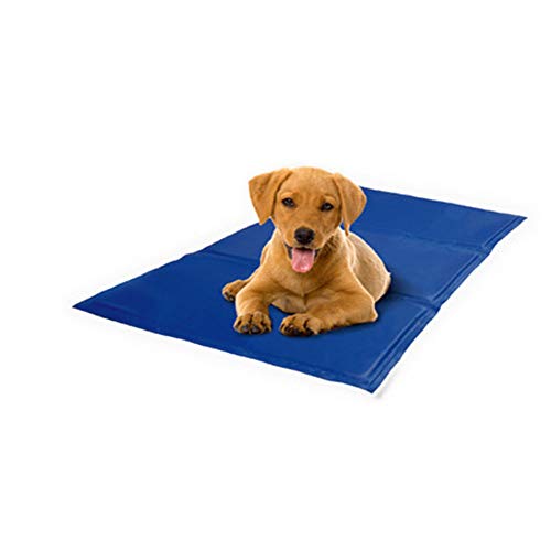 Pro Goleem Alfombrilla de autoenfriamiento para Perros Gel para Mascotas Almohadilla de autoenfriamiento No tóxico en Verano para Perros y Gatos, Adecuado para jaulas, perreras y Camas (65x50 cm)