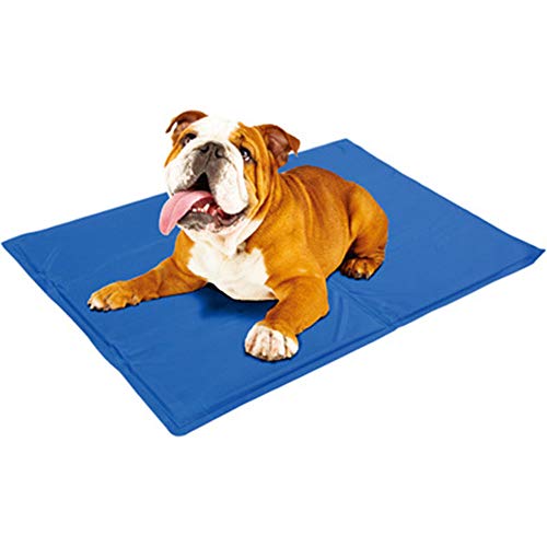 Pro Goleem Alfombrilla de autoenfriamiento para Perros Gel para Mascotas Almohadilla de autoenfriamiento No tóxico en Verano para Perros y Gatos, Adecuado para jaulas, perreras y Camas (65x50 cm)