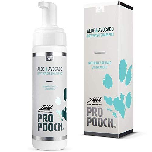 Pro Pooch Champú seco para Perros (200 ml) de Secado rápido, sin Agua, sin Enjuague, Mousse