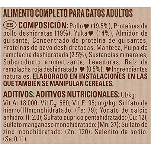 Purina Beyond Grain Free - Pienso Natural con Pollo para Gatos, 6 x 700 g