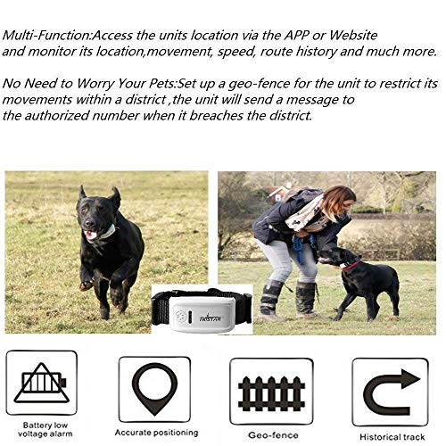 QinMM Collar GPS Perros Pet GPS Tracker con Collar, Mascota Anti Lost GPS Tracking Localizador de Localización GPS enTiempo Real, Collar para Perros Training GPS en Tiempo Real con App