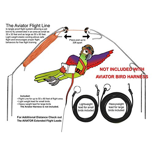 REFURBISHHOUSE ArnéS y Correa para PáJaros para Mascotas, Correa y ArnéS Ajustable para PáJaros Loro - Cuerda para Entrenamiento contra Mordeduras para Mascotas ArnéS y Correa (XL)