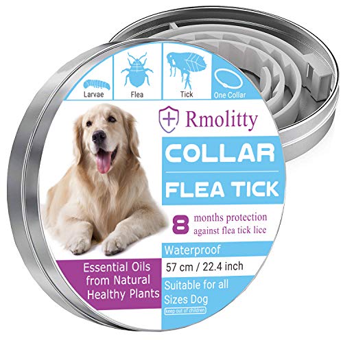 Rmolitty Collar Antiparasitario Perros, Impermeable Tratamiento Natural de pulgas para Grande Mediano Pequeño Perros, 8 Meses 57cm (57cm)