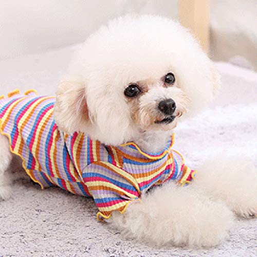 Ropa para Mascotas Chaleco De Cachorro Camiseta Camisa Linda del Gato del Invierno De Los Pijamas del Arco Iris pequeño Perros Accesorios Ropa Mascotas Disfraces suéter para Perros Trajes de Navidad