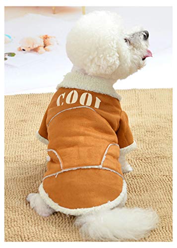 Ropa para mascotas, ropa de otoño e invierno, versión coreana de piel de cordero más terciopelo grueso de doble capa de algodón de peluche para perro o gato