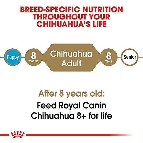 ROYAL CANIN Breed Health Nutrition Chihuahua Adult Dry Dog Food, 10-Pound by