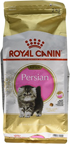 Royal Canin C-58426 Gato Persian - 2 Kg