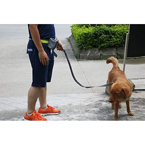 RUIHAN Correa de Perro Fuerte Traje Deportivo Correa para Mascotas Correa de Entrenamiento con Correa para Perros para Perros pequeños medianos Gatos 144cm