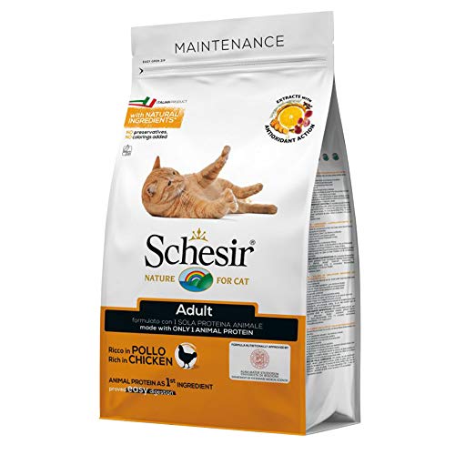 Schesir Comida para Gato Pienso Mantenimiento con Pollo - 400 gr