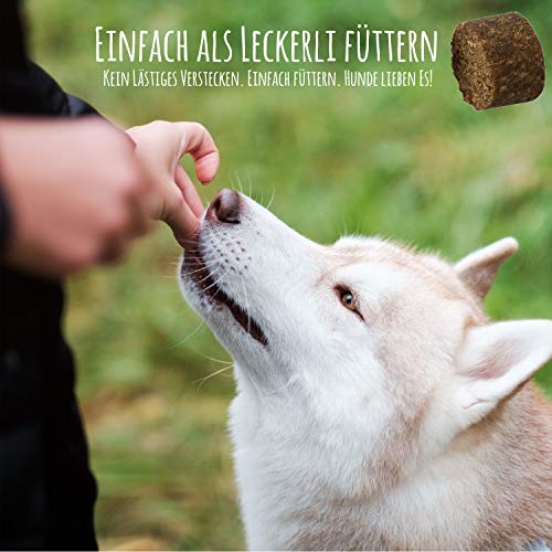 Schnüffelfreunde Immunsystem I Vitaminas y Nutrientes para Perros - para Ayudar al Sistema Inmunitario Natural del Perro - Naturales Hierbas para más Vitalidad