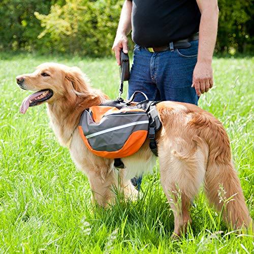 Schulze Lead & Travel - Mochila y arnés para Perros de 14-18 kg - Talla S