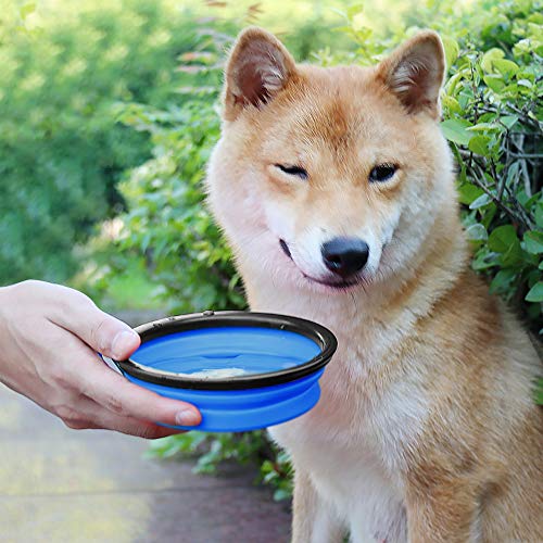 SENHAI 2 Piezas Grande Plegable Tazón de Perro, Silicona Portátil Platos de Comida Mascota Cuencos de Agua para al Aire Libre Viaje Excursionismo Cámping