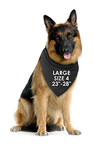 Spoilt Rotten Pets, S4 My Parents Are Getting A Human – Bandana para Perro Big Reveal Black – Anuncio de Embarazo para bebé XL Grande Perro Husky, GSD, Newfies & Chow