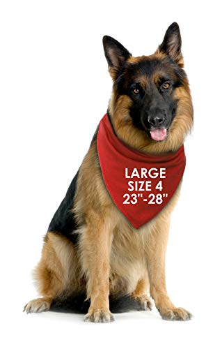 Spoilt Rotten Pets, S4 Stand Back I'm A Twat Red Dog Bandana – Disfraz para Perros Locos XL Perro Husky, GSD, Newfies & Chow, Grande