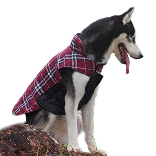 ThinkPet Chaqueta Perro Reversible Ropa para Perro Escocesa Abrigo Perro Impermeable de Cuadros británicos para Perros pequeños