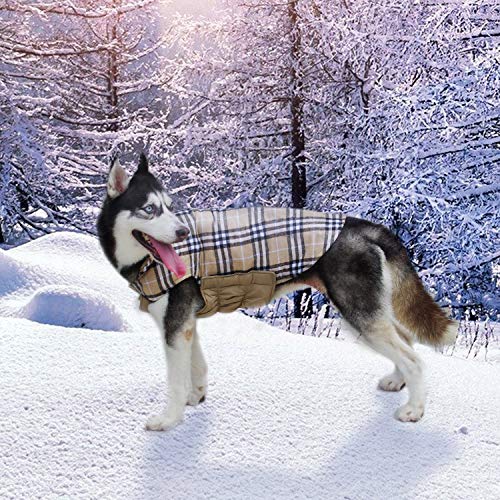 ThinkPet Chaqueta Perro Reversible Ropa para Perro Escocesa Abrigo Perro Impermeable de Cuadros británicos para Perros pequeños