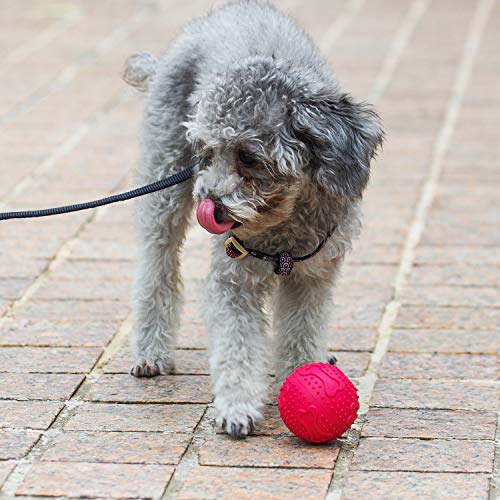 ThinkPet Juguete para Masticar Perros Juguete de Goma para Perros Dispensador de premios, Juguete Pelota Perro Inteligencia Juguete para Limpieza Dental