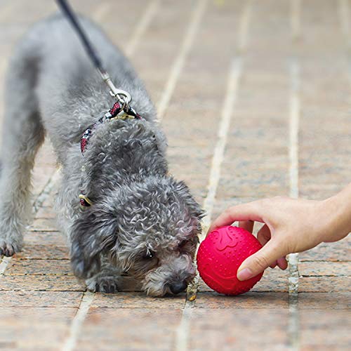 ThinkPet Juguete para Masticar Perros Juguete de Goma para Perros Dispensador de premios, Juguete Pelota Perro Inteligencia Juguete para Limpieza Dental