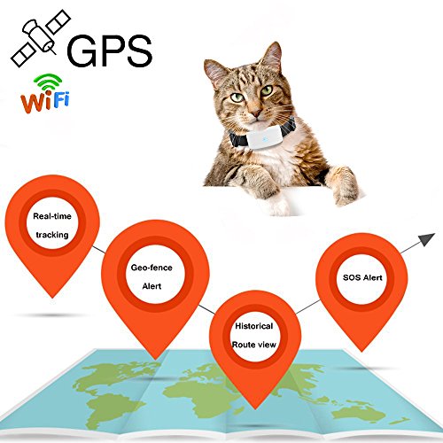 TKSTAR pequeñas mascotas GPS perseguidor tk911 Agua Densidad Cachorros perro gato Cuello bandas Anti de pérdida de mini GPS Tracker Locator gratis Online Plataforma de seguimiento (500 mAh)