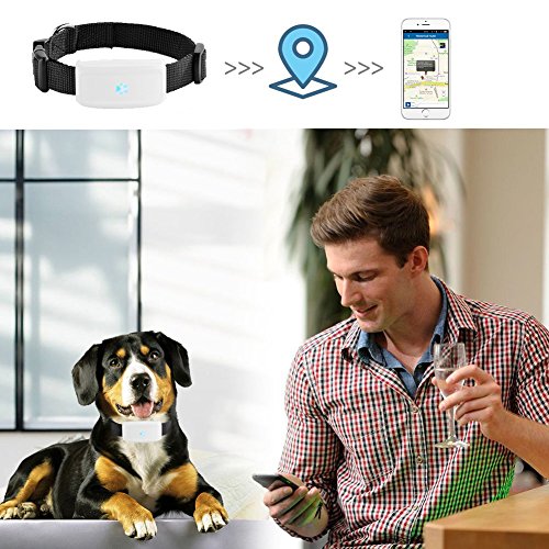 TKSTAR pequeñas mascotas GPS perseguidor tk911 Agua Densidad Cachorros perro gato Cuello bandas Anti de pérdida de mini GPS Tracker Locator gratis Online Plataforma de seguimiento (500 mAh)