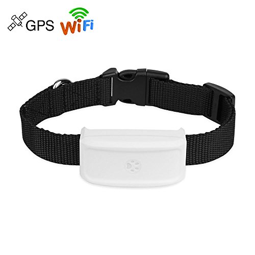 TKSTAR pequeñas mascotas GPS perseguidor tk911 Agua Densidad Cachorros perro gato Cuello bandas Anti de pérdida de mini GPS Tracker Locator gratis Online Plataforma de seguimiento (500 mAh)