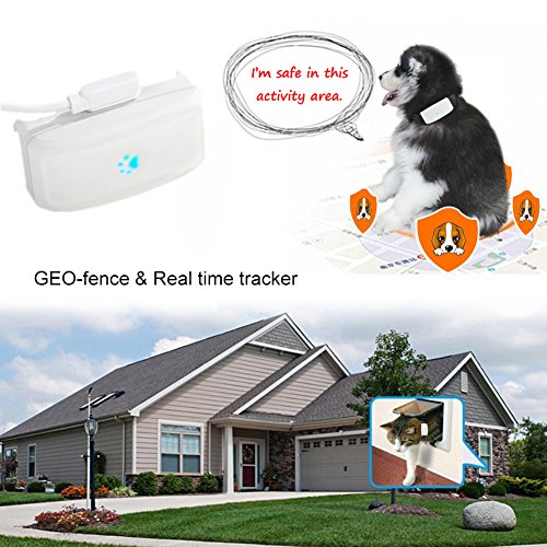 TKSTAR pequeñas mascotas GPS perseguidor tk911 Agua Densidad Cachorros perro gato Cuello bandas Anti de pérdida de mini GPS Tracker Locator gratis Online Plataforma de seguimiento (500 mAh)