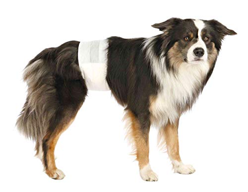 Trixie Pañales para Perros Absorbentes - Empapadores Perros Desechables para Incontinencias Cómodos 12 Unidades Talla L-XL, 60-80 cm