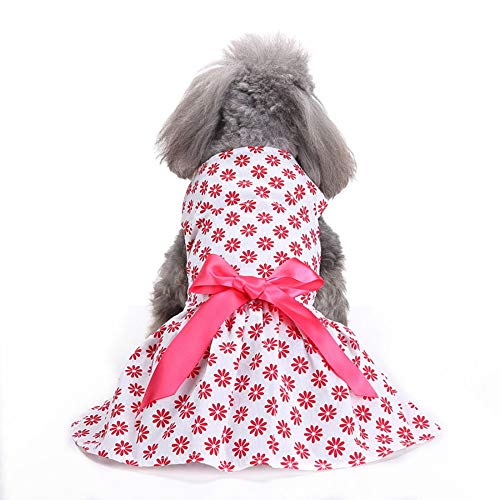 TUOTANG Falda de Moda para Mascotas Ropa para Mascotas Falda de Verano Vestido Falda para Perro, 11,X-Small