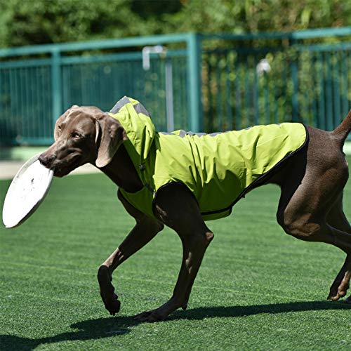 TUYU - Chubasquero Impermeable para Perros y Mascotas, Chaqueta de poliéster para Exteriores, Perro Mediano, Perro Grande, Impermeable de Dos Patas 1910CWL0175