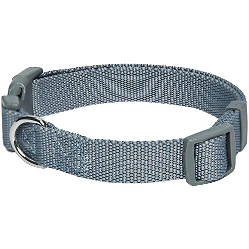 Umi. Essential Classic - Collar para perros S, cuello 30-40 cm, collares ajustables para perros (gris)