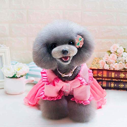 Vestidos de Encaje para Perro y Gato, Vestido de Tul para Fiesta de Boda de Cumpleaños, Falda de La Torta de Floral, Vestido de Tutú de Verano y Primavera, Ropa para Mascotas Pequeños