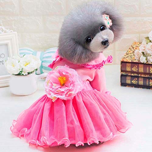 Vestidos de Encaje para Perro y Gato, Vestido de Tul para Fiesta de Boda de Cumpleaños, Falda de La Torta de Floral, Vestido de Tutú de Verano y Primavera, Ropa para Mascotas Pequeños